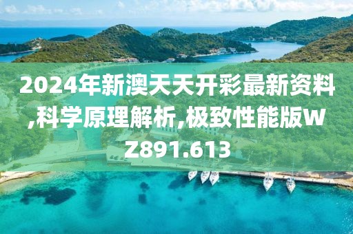 2024年新澳天天开彩最新资料,科学原理解析,极致性能版WZ891.613