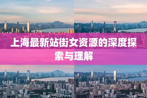上海最新站街女资源的深度探索与理解
