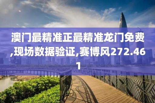 澳门最精准正最精准龙门免费,现场数据验证,赛博风272.461