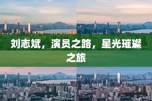 刘志斌，演员之路，星光璀璨之旅