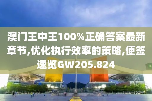澳门王中王100%正确答案最新章节,优化执行效率的策略,便签速览GW205.824
