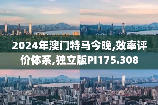 2024年澳门特马今晚,效率评价体系,独立版PI175.308