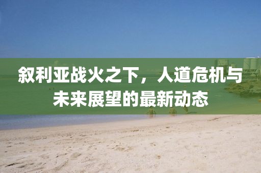 叙利亚战火之下，人道危机与未来展望的最新动态
