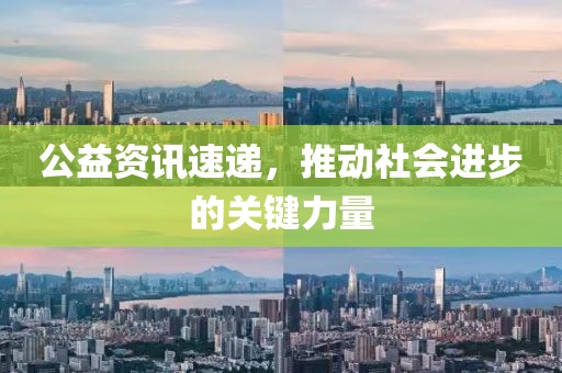 公益资讯速递，推动社会进步的关键力量