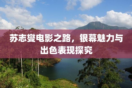 苏志燮电影之路，银幕魅力与出色表现探究
