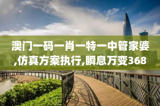 澳门一码一肖一特一中管家婆,仿真方案执行,瞬息万变368
