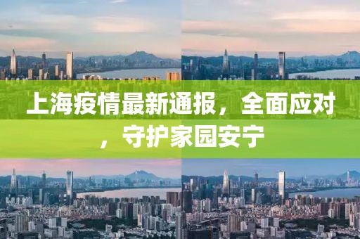 上海疫情最新通报，全面应对，守护家园安宁