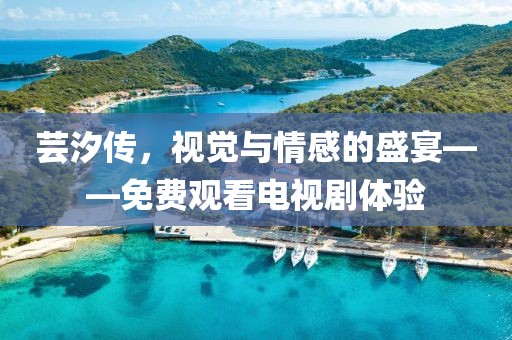 芸汐传，视觉与情感的盛宴——免费观看电视剧体验