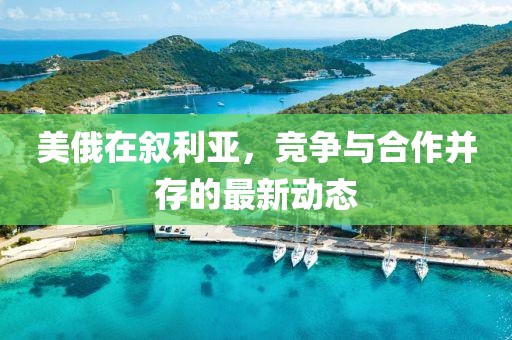 美俄在叙利亚，竞争与合作并存的最新动态