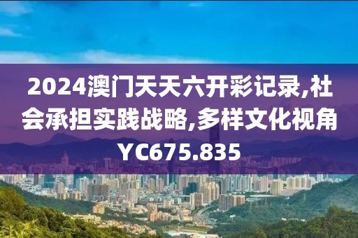 2024澳门天天六开彩记录,社会承担实践战略,多样文化视角YC675.835