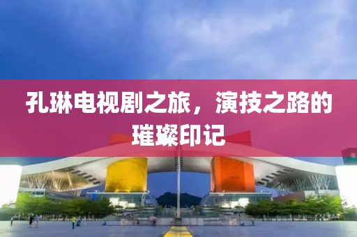 孔琳电视剧之旅，演技之路的璀璨印记