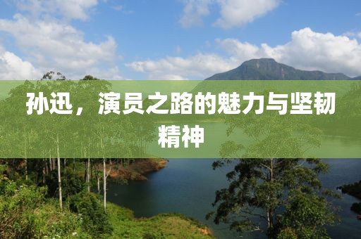 孙迅，演员之路的魅力与坚韧精神