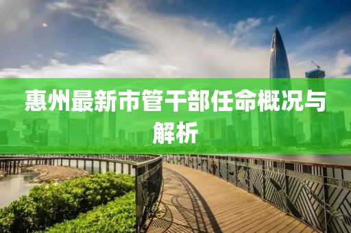 惠州最新市管干部任命概况与解析
