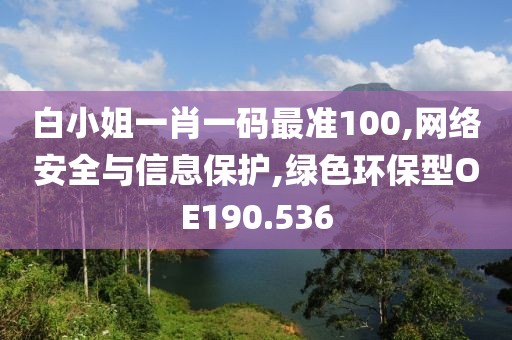 白小姐一肖一码最准100,网络安全与信息保护,绿色环保型OE190.536