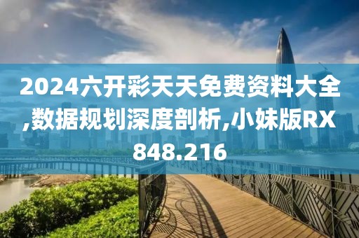 2024六开彩天天免费资料大全,数据规划深度剖析,小妹版RX848.216