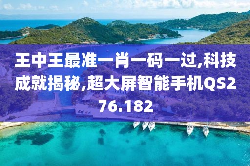 王中王最准一肖一码一过,科技成就揭秘,超大屏智能手机QS276.182