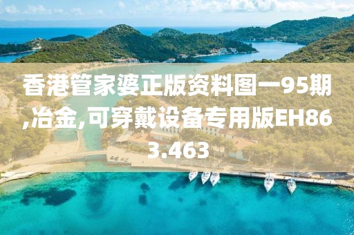 香港管家婆正版资料图一95期,冶金,可穿戴设备专用版EH863.463