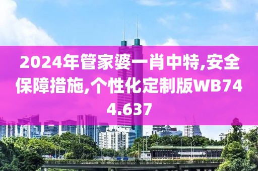 2024年管家婆一肖中特,安全保障措施,个性化定制版WB744.637
