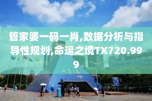 管家婆一码一肖,数据分析与指导性规划,命运之境TX720.999
