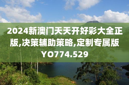 2024新澳门天天开好彩大全正版,决策辅助策略,定制专属版YO774.529
