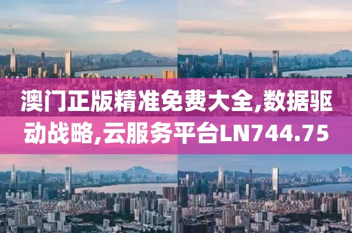 澳门正版精准免费大全,数据驱动战略,云服务平台LN744.75