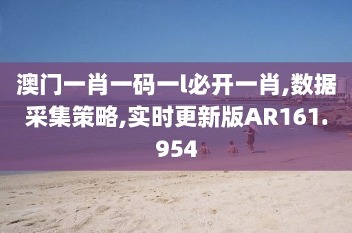 澳门一肖一码一l必开一肖,数据采集策略,实时更新版AR161.954