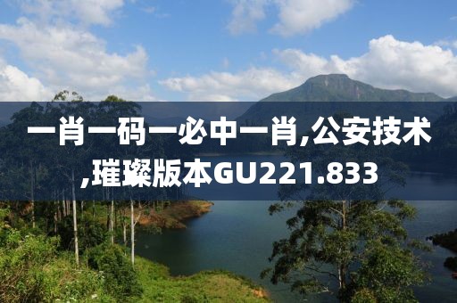 一肖一码一必中一肖,公安技术,璀璨版本GU221.833