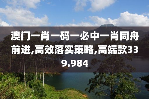 澳门一肖一码一必中一肖同舟前进,高效落实策略,高端款339.984