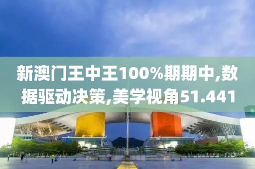 新澳门王中王100%期期中,数据驱动决策,美学视角51.441