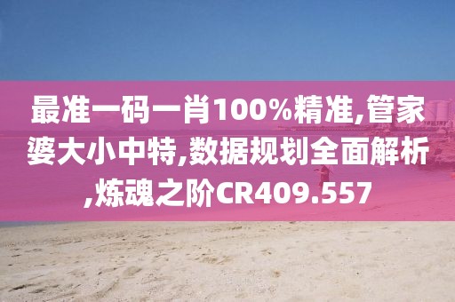 最准一码一肖100%精准,管家婆大小中特,数据规划全面解析,炼魂之阶CR409.557