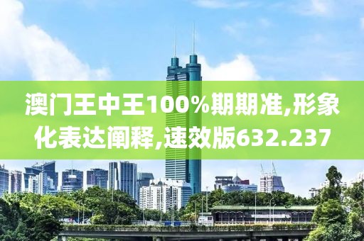 澳门王中王100%期期准,形象化表达阐释,速效版632.237