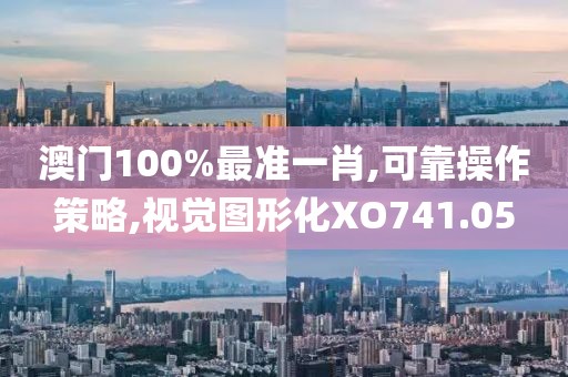 澳门100%最准一肖,可靠操作策略,视觉图形化XO741.05