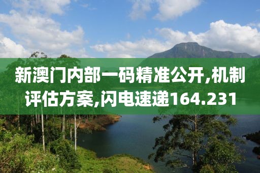 新澳门内部一码精准公开,机制评估方案,闪电速递164.231