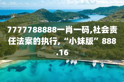 7777788888一肖一码,社会责任法案的执行,“小妹版”888.16