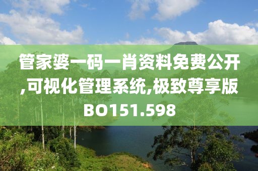 管家婆一码一肖资料免费公开,可视化管理系统,极致尊享版BO151.598