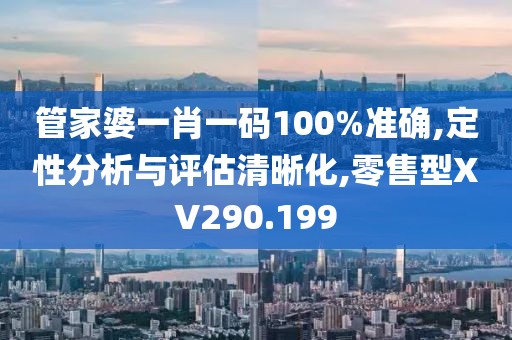管家婆一肖一码100%准确,定性分析与评估清晰化,零售型XV290.199