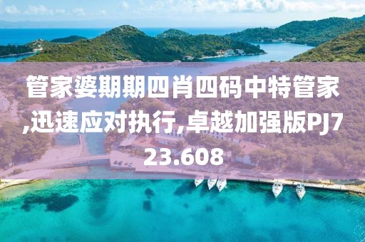 管家婆期期四肖四码中特管家,迅速应对执行,卓越加强版PJ723.608