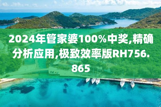 2024年管家婆100%中奖,精确分析应用,极致效率版RH756.865