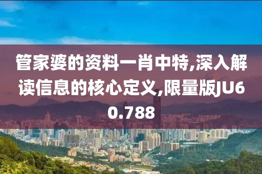 管家婆的资料一肖中特,深入解读信息的核心定义,限量版JU60.788