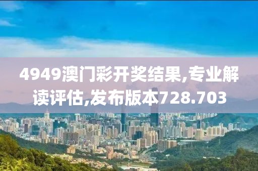 4949澳门彩开奖结果,专业解读评估,发布版本728.703
