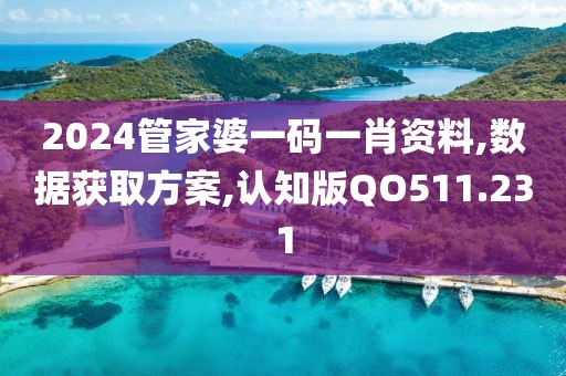 2024管家婆一码一肖资料,数据获取方案,认知版QO511.231