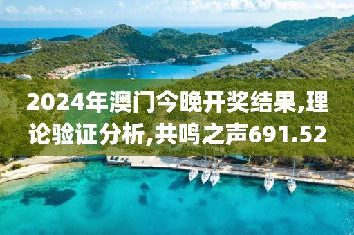 2024年澳门今晚开奖结果,理论验证分析,共鸣之声691.52