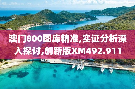 澳门800图库精准,实证分析深入探讨,创新版XM492.911