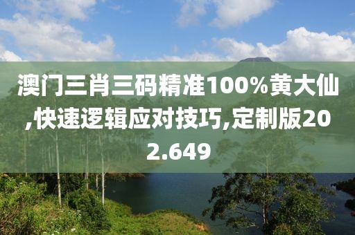 澳门三肖三码精准100%黄大仙,快速逻辑应对技巧,定制版202.649