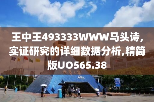 王中王493333WWW马头诗,实证研究的详细数据分析,精简版UO565.38