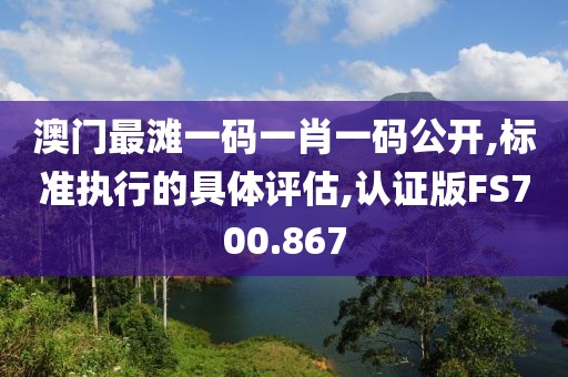 澳门最滩一码一肖一码公开,标准执行的具体评估,认证版FS700.867
