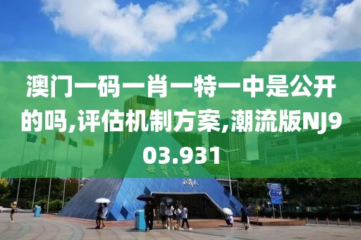 澳门一码一肖一特一中是公开的吗,评估机制方案,潮流版NJ903.931