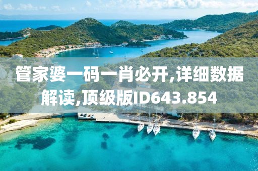 管家婆一码一肖必开,详细数据解读,顶级版ID643.854