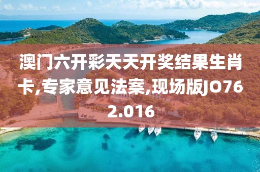 澳门六开彩天天开奖结果生肖卡,专家意见法案,现场版JO762.016