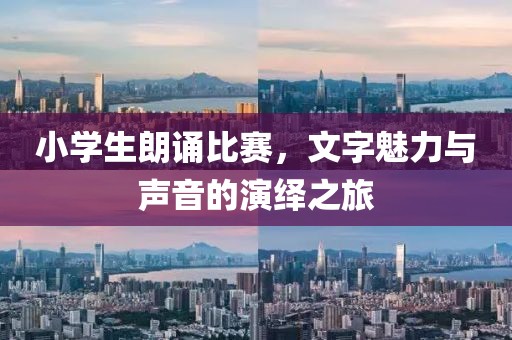 小学生朗诵比赛，文字魅力与声音的演绎之旅